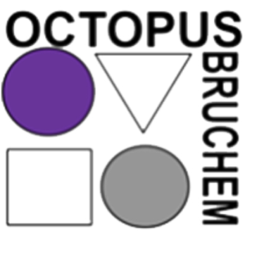 Logo Octopus Bruchem