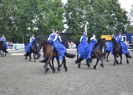 Stichting Bommelerwaardse Paardendag